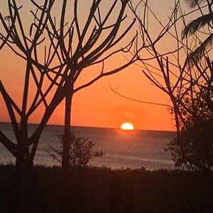 Meet your Posher, Wayne